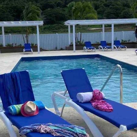 Natty'S Cozy Beach House In Hanover Jamaica Lucea Exteriör bild