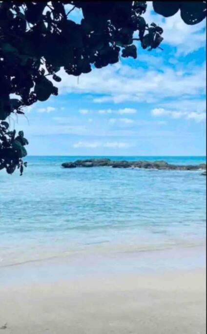 Natty'S Cozy Beach House In Hanover Jamaica Lucea Exteriör bild