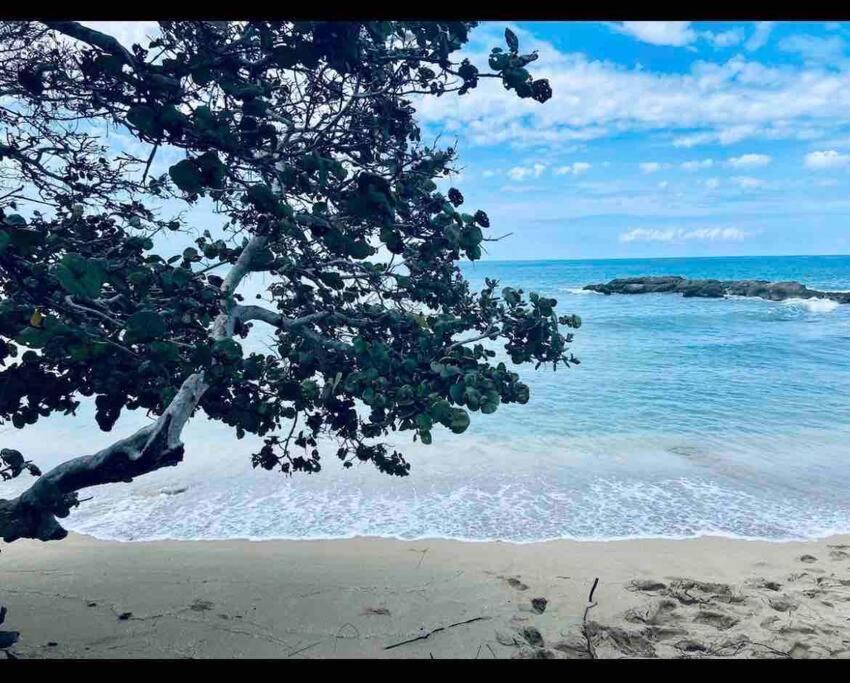 Natty'S Cozy Beach House In Hanover Jamaica Lucea Exteriör bild